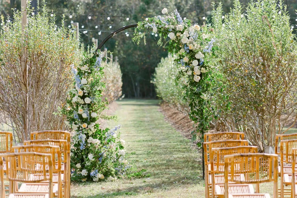 White Oak Fields Blueberry Farm and Events #4