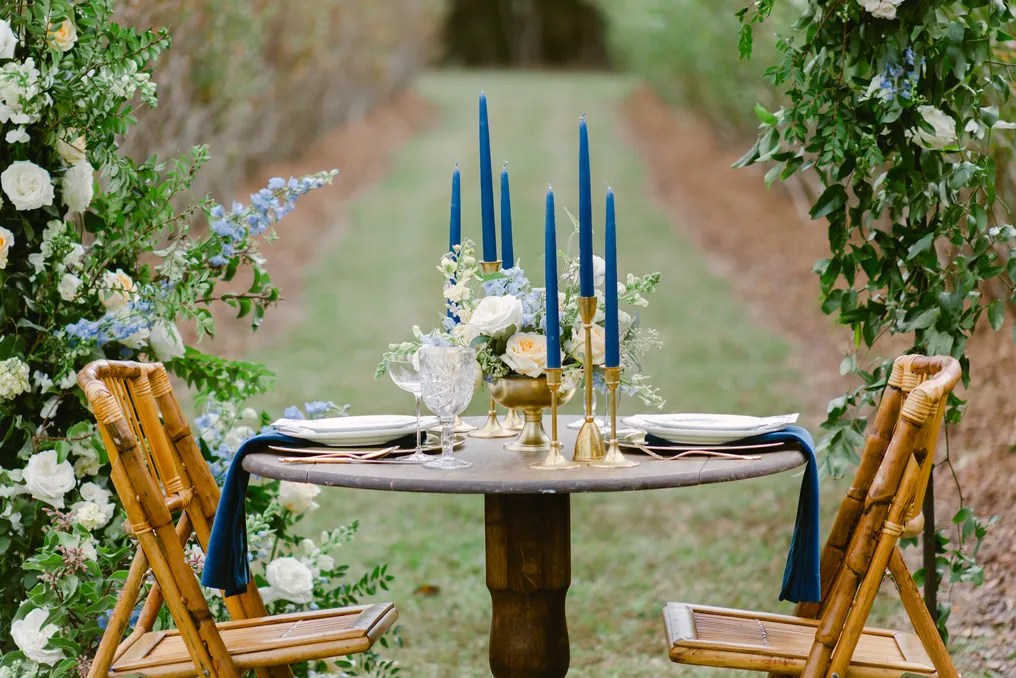 White Oak Fields Blueberry Farm and Events #6