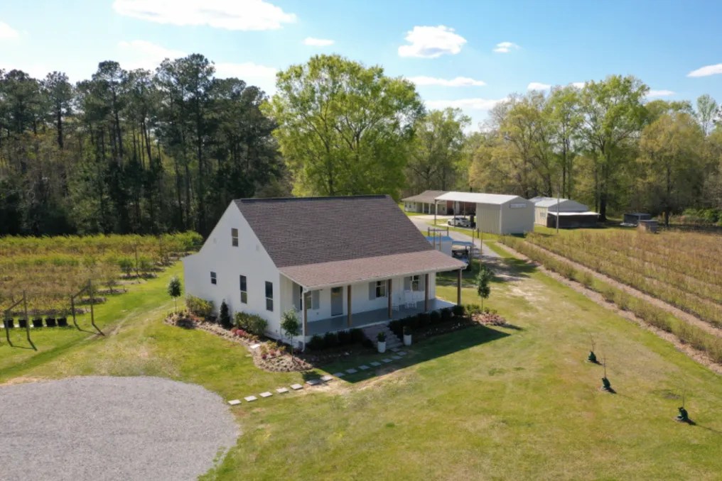White Oak Fields Blueberry Farm and Events #8