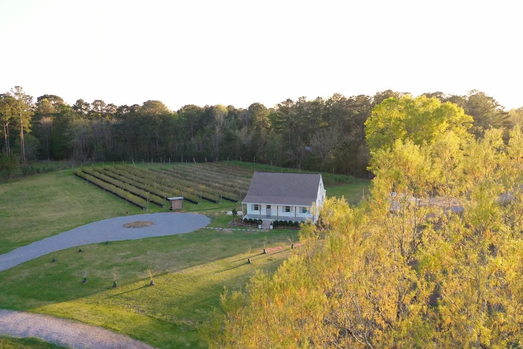 White Oak Fields Blueberry Farm and Events #14