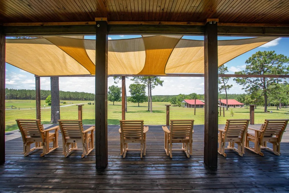 Loblolly Farm #2