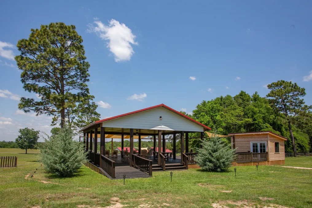 Loblolly Farm #5