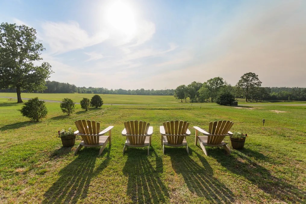 Loblolly Farm #8