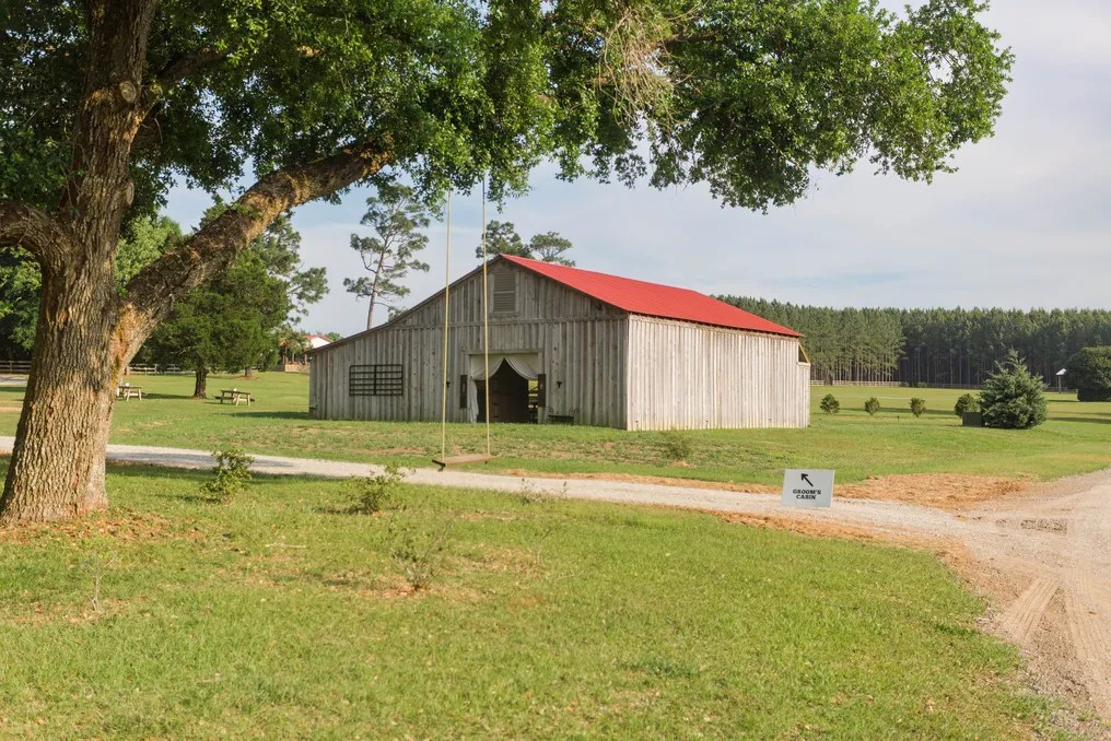 Loblolly Farm #9