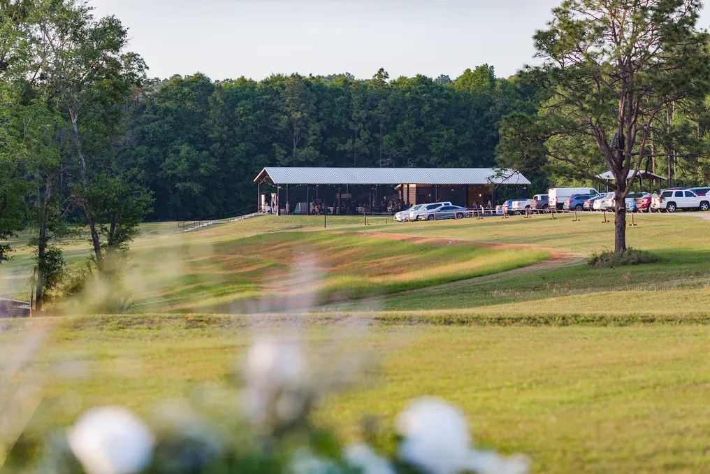 Loblolly Farm #11