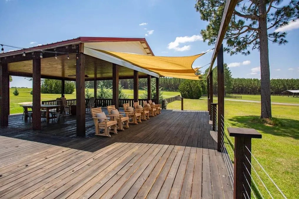 Loblolly Farm #19