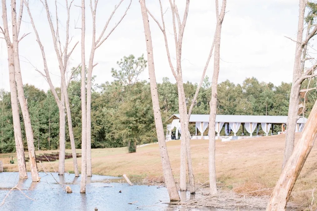 Loblolly Farm #26