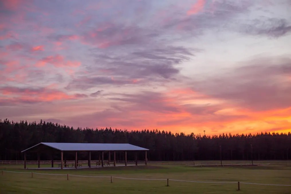 Loblolly Farm #31