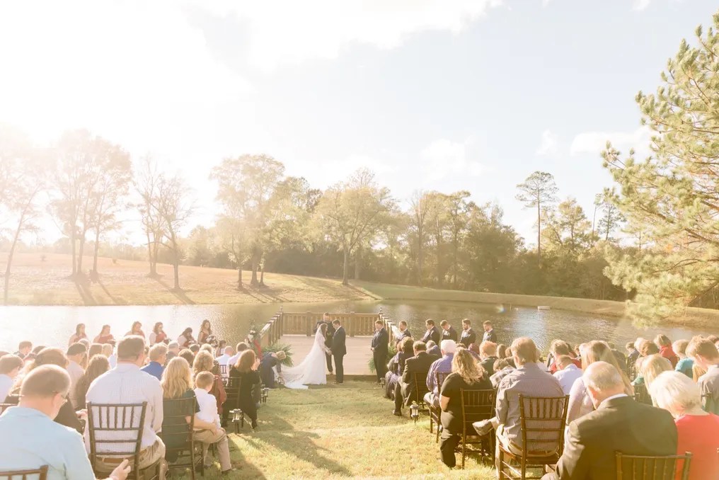 Loblolly Farm #38