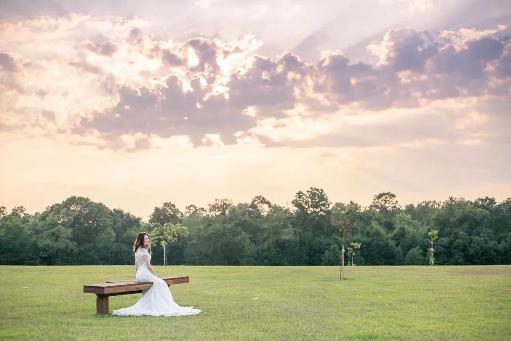 Loblolly Farm #41
