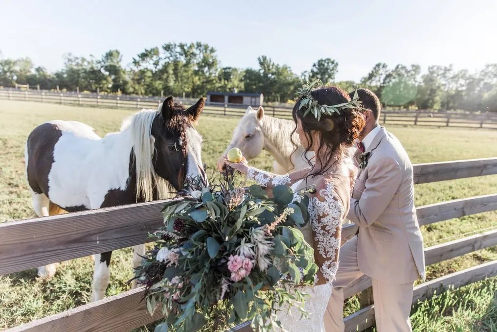 Cecil Creek Farm #7