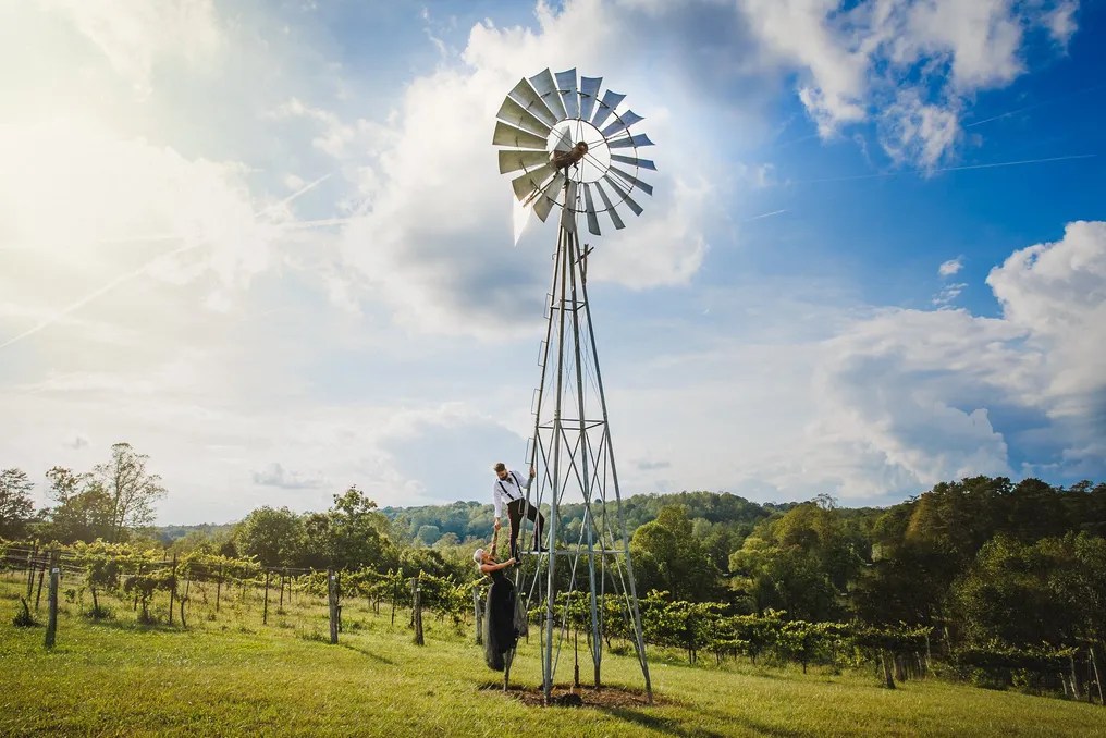 Elkin Creek Vineyard #81