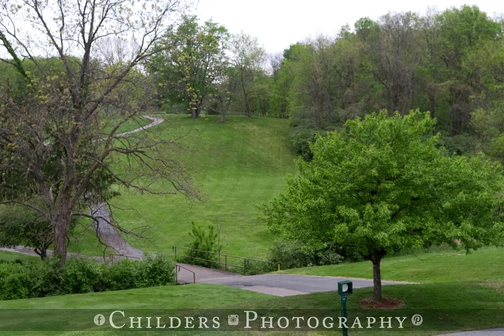 Meadowbrook at Clayton #22