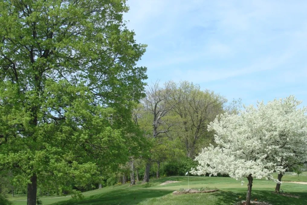 Meadowbrook at Clayton #31
