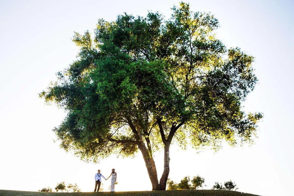 Maderas Golf Club #34