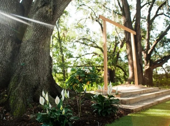 Paradise Spring Wedding #12