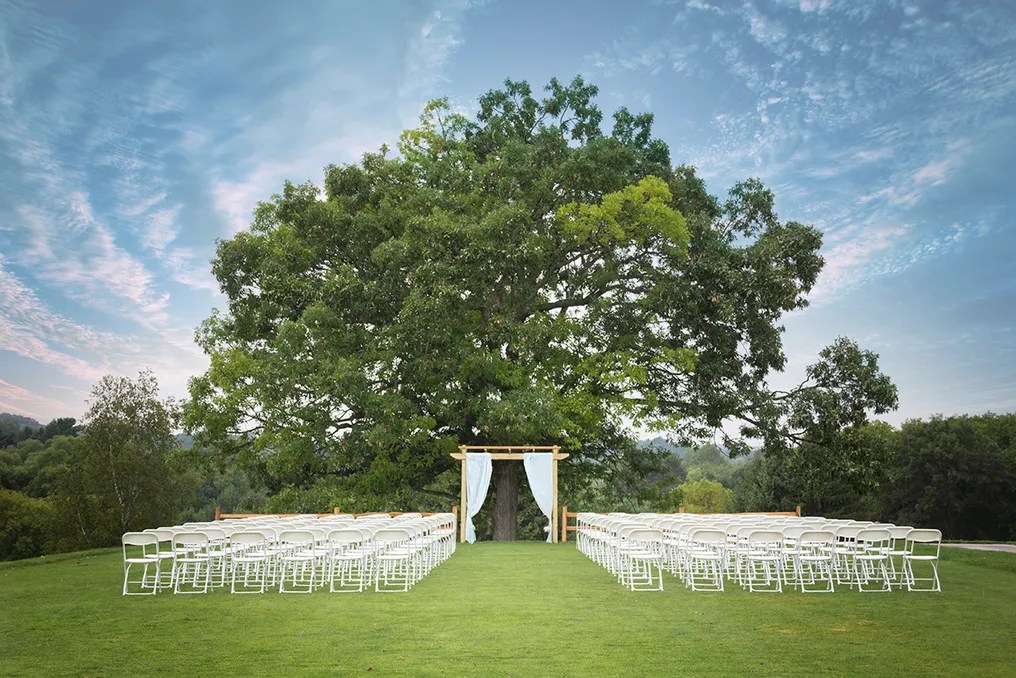 Tanglewood Greens #23