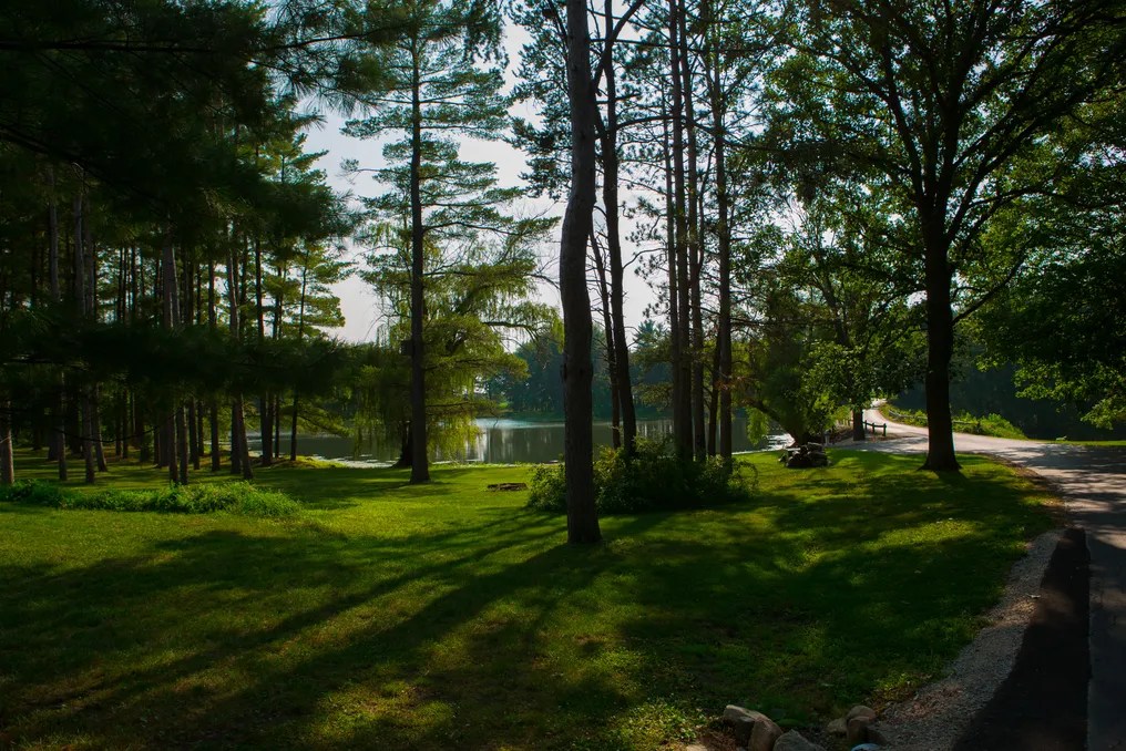 Whispering Woods Events #38