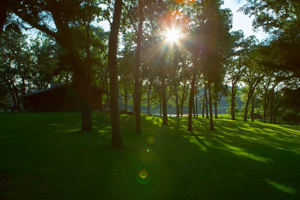 Whispering Woods Events #50