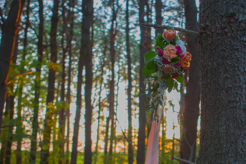 Whispering Woods Events #65