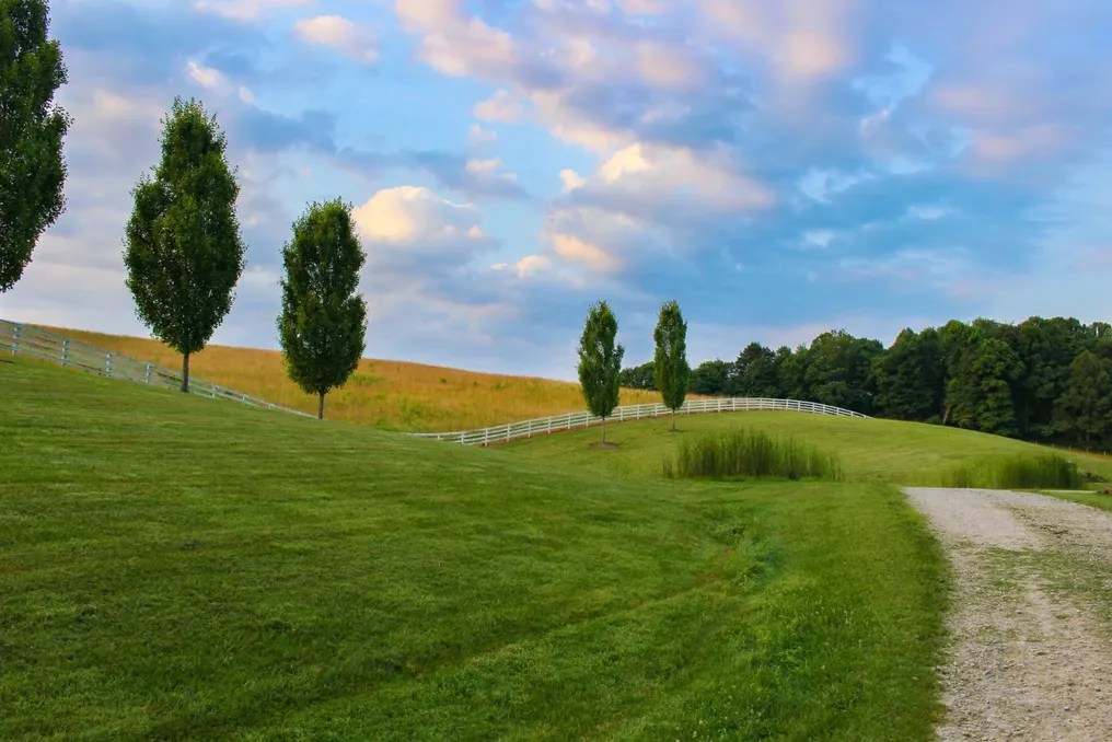 WOODLAND RETREATS #31