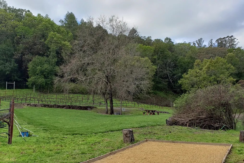 Deerfield Ranch Winery #2