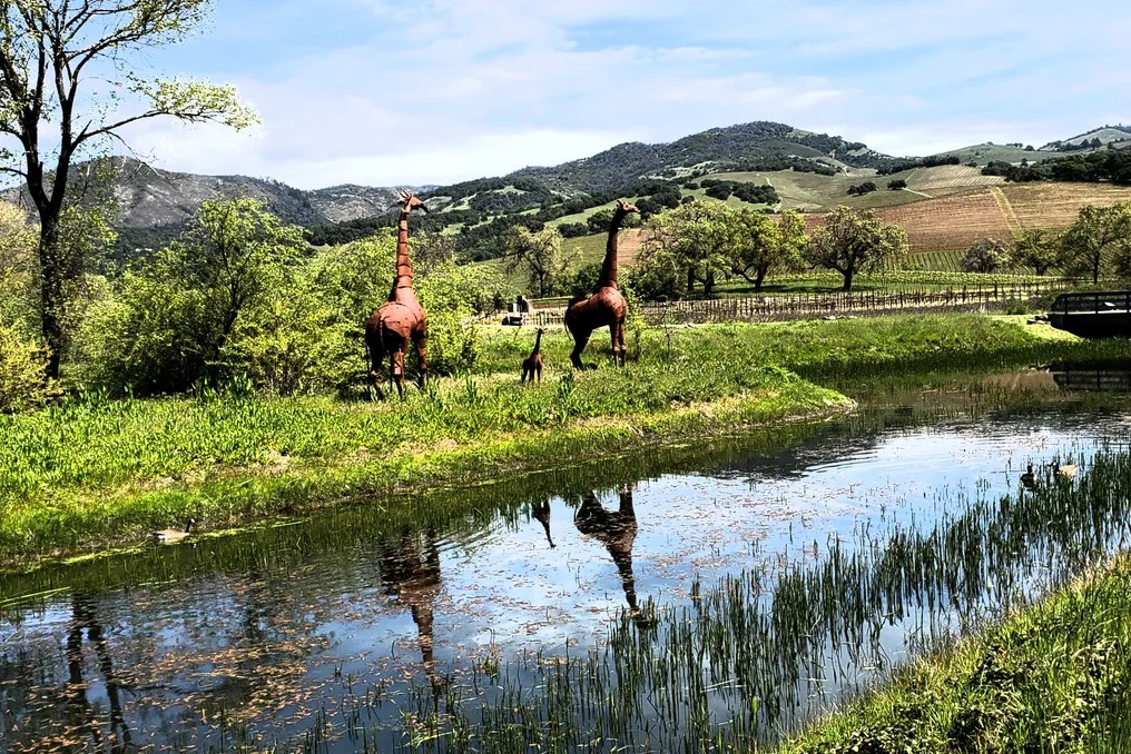 Deerfield Ranch Winery #3