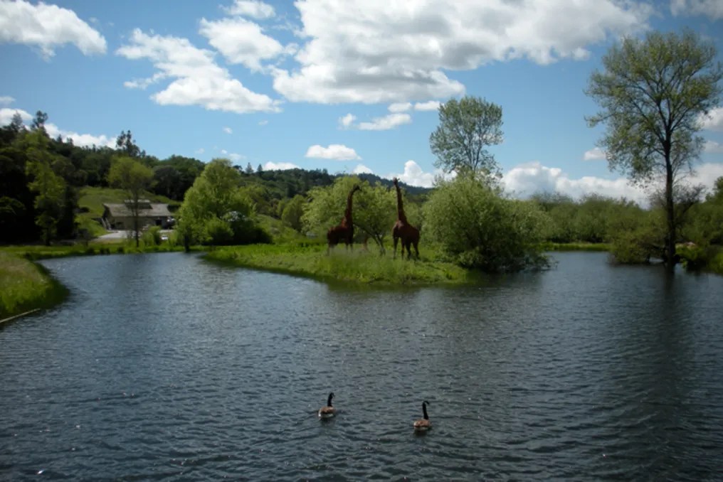 Deerfield Ranch Winery #9
