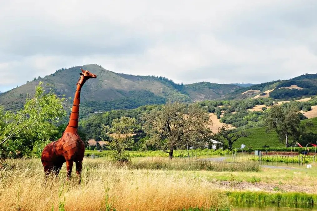 Deerfield Ranch Winery #10