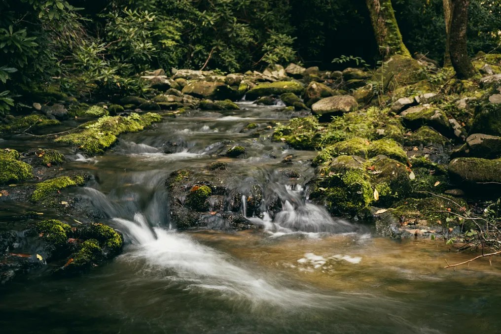 Norton Creek Resort #23