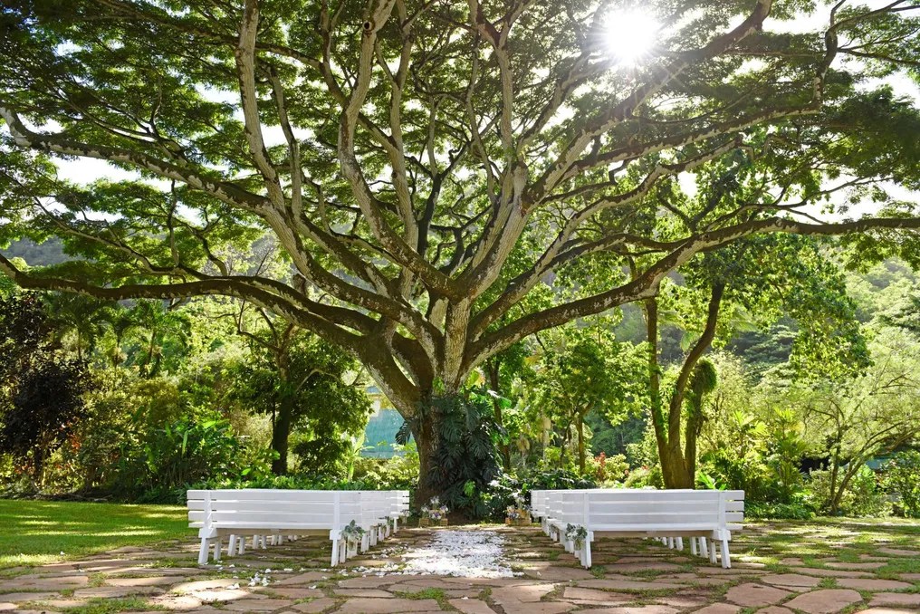 Waimea Valley #3
