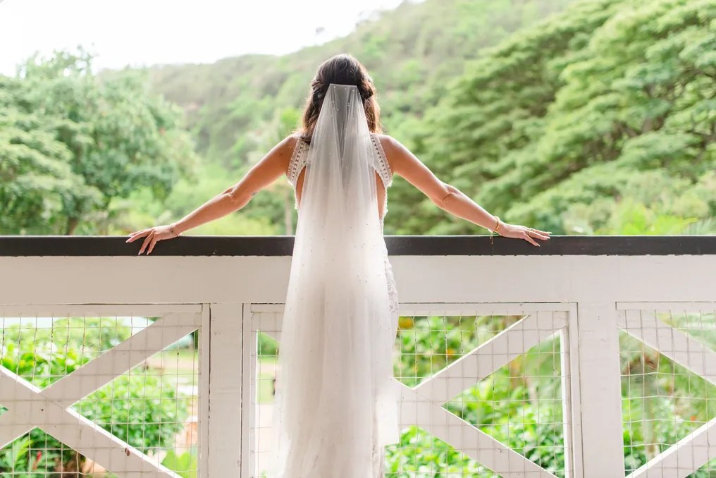 Waimea Valley #18