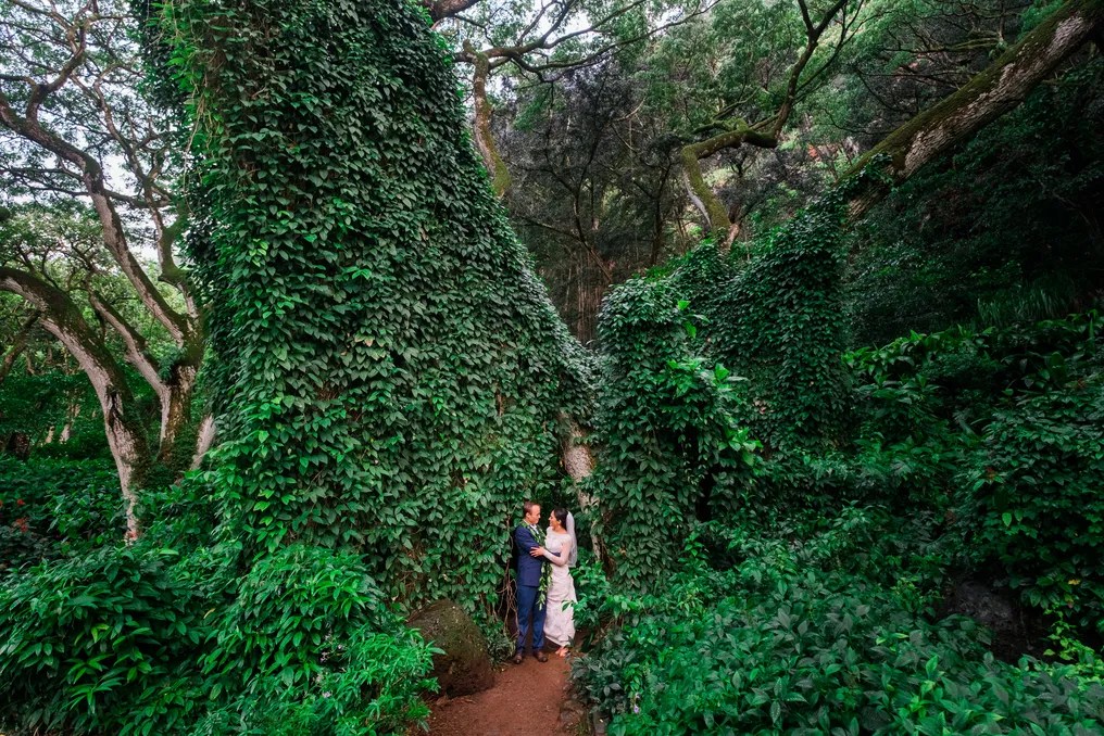 Waimea Valley #20