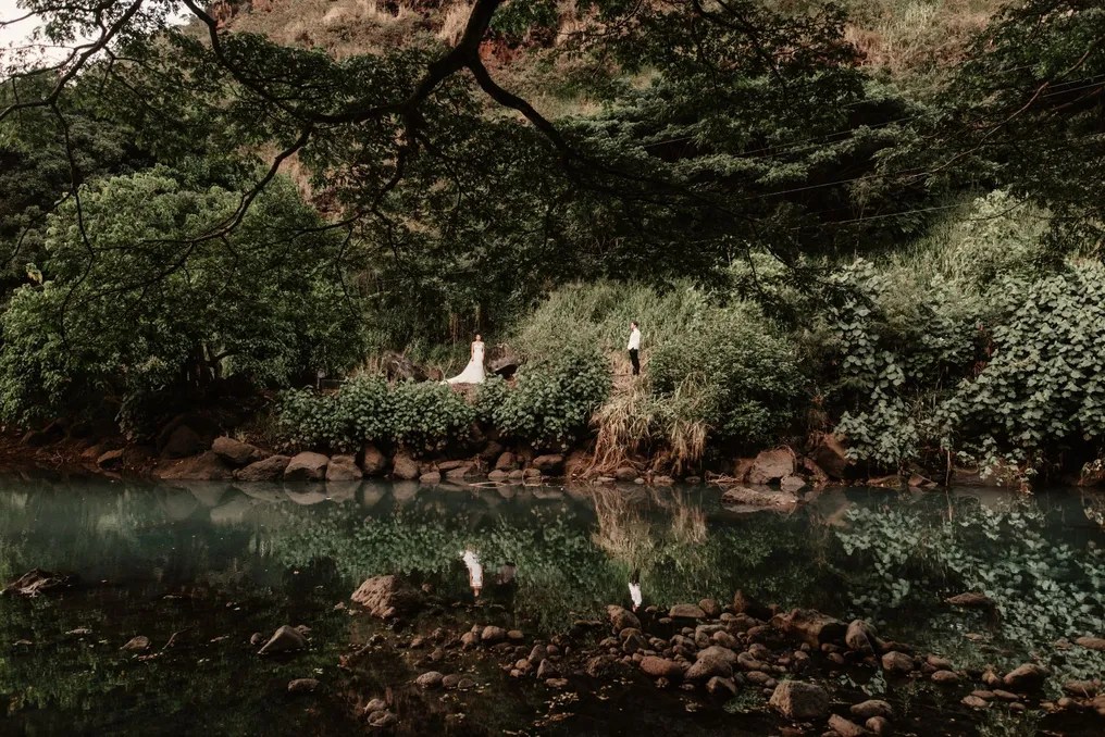 Waimea Valley #22