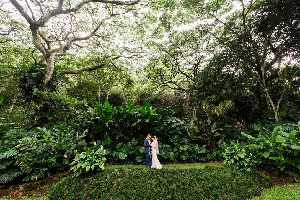 Waimea Valley #26