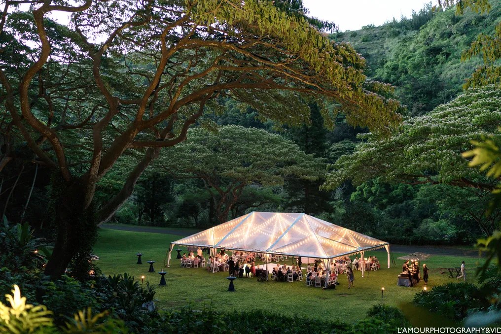 Waimea Valley #29