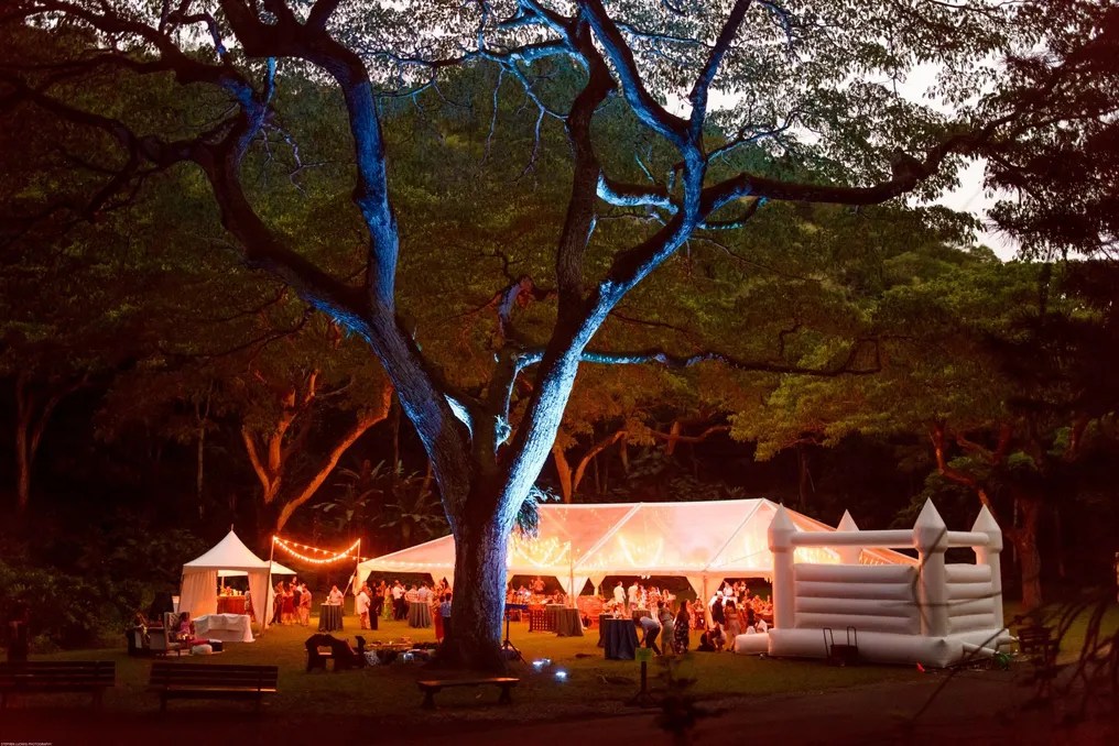 Waimea Valley #30