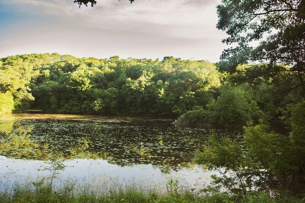 Big Rock Creek #27