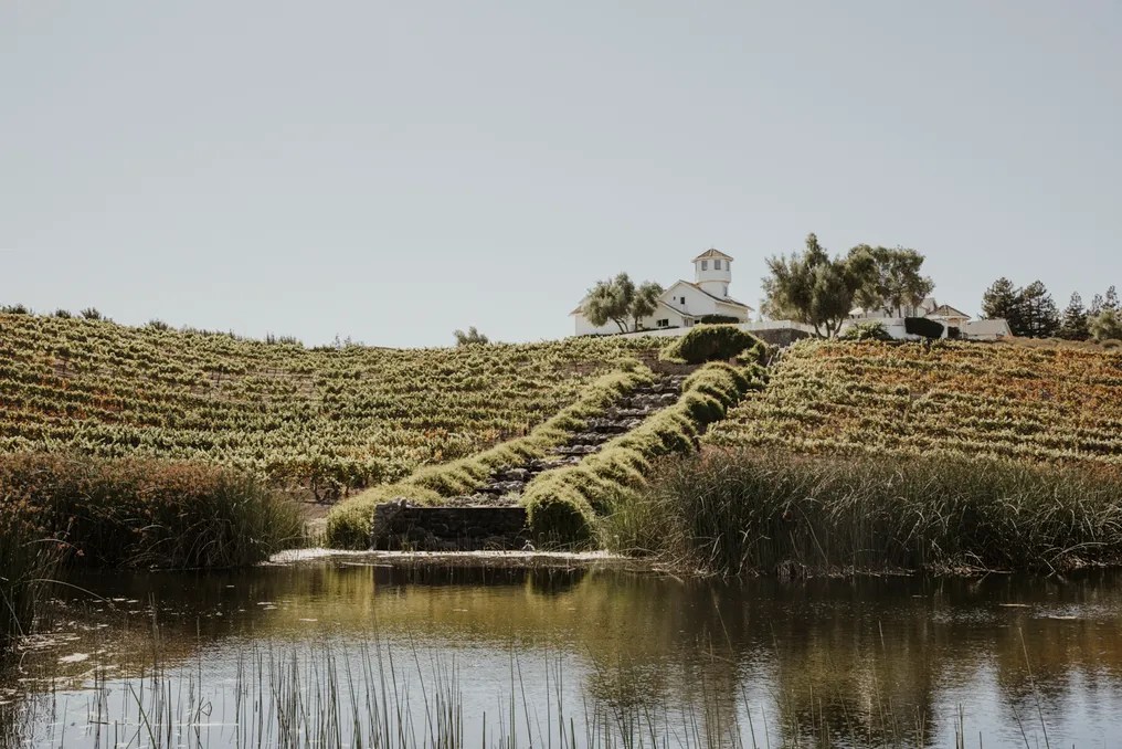 Léal Vineyards #33