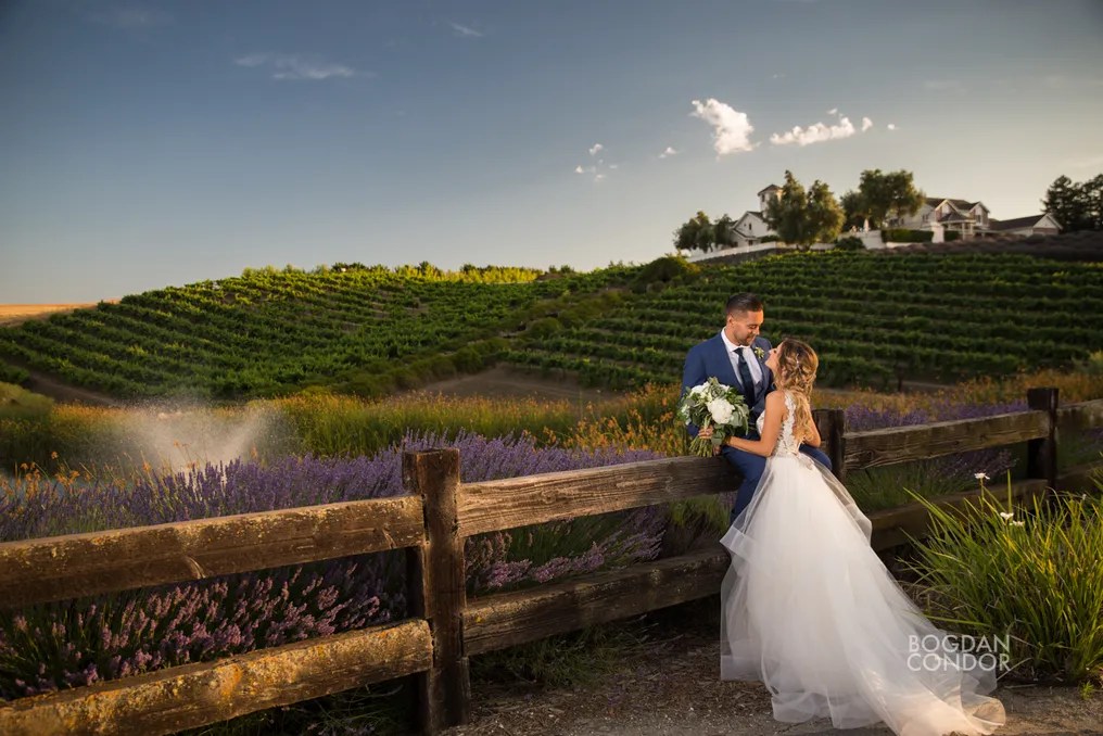 Léal Vineyards #47