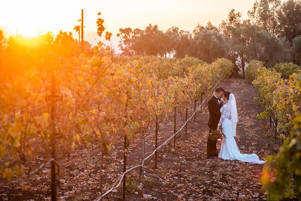 Léal Vineyards #58