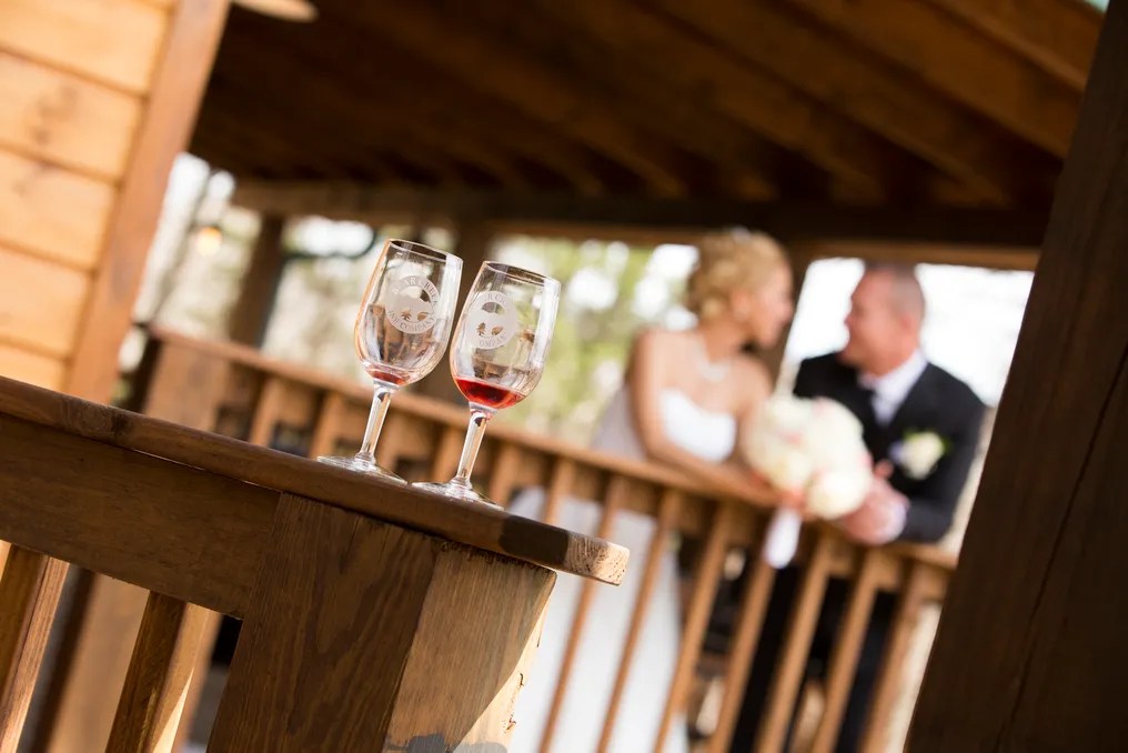 Bear Creek Tree-Top Chapel and Branson Garden Weddings #48