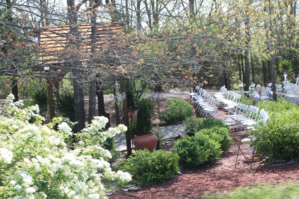 Bear Creek Tree-Top Chapel and Branson Garden Weddings #50