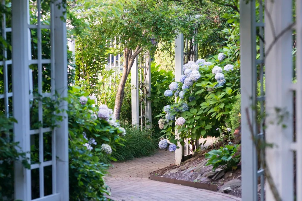 The Garden City Hotel #28