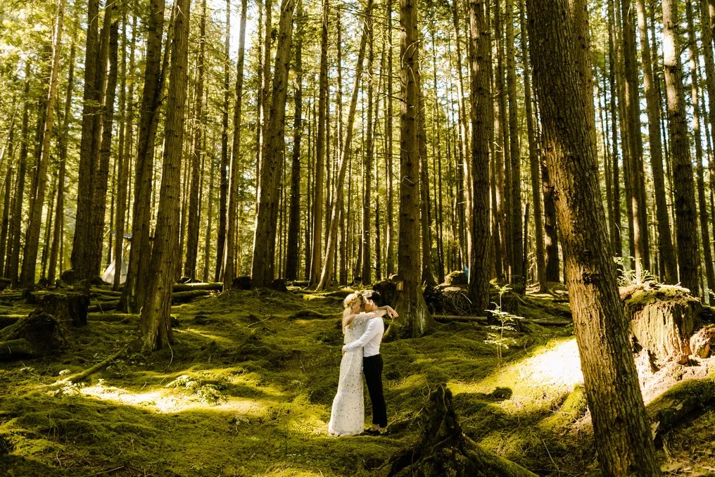 The Emerald Forest #6