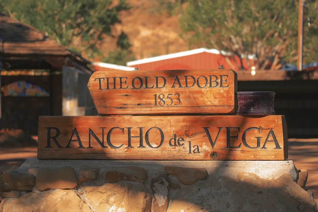 Vega Vineyard & Farm #1