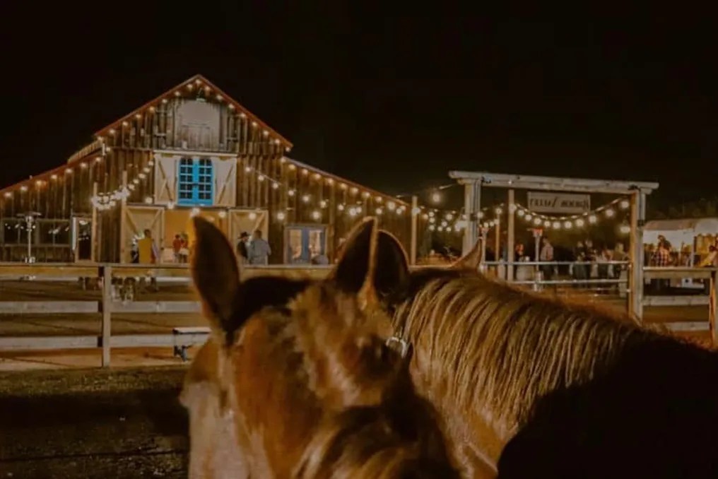 Brook Valley Rentals #14