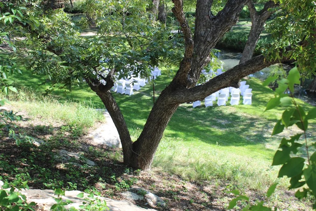 The Springs #16