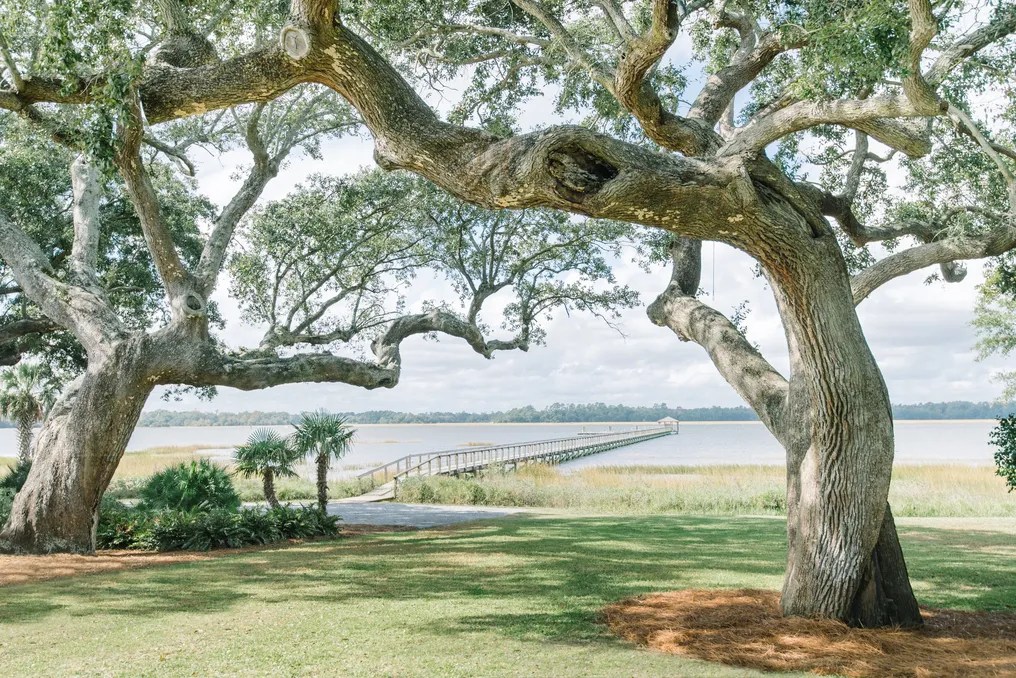 Lowndes Grove #30