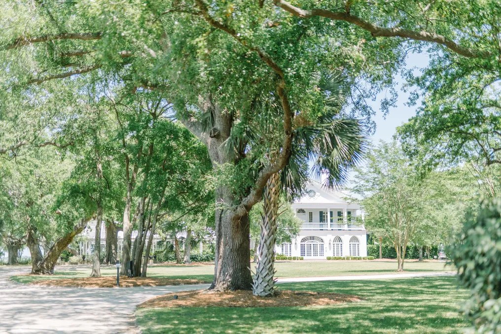 Lowndes Grove #35